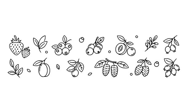 Minimal Berry Line Icons Collection Featuring Seasonal Fruits and Botanical Elements Vector Set