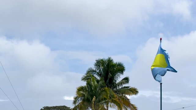 National Flag of Palau Waving in the Wind Near Palm Trees