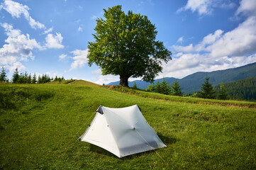 Naklejka premium White tourist tent on lush, green hillside next to large, solitary tree under bright blue sky. Panoramic view of forested mountains, creating serene and picturesque camping spot amidst nature.