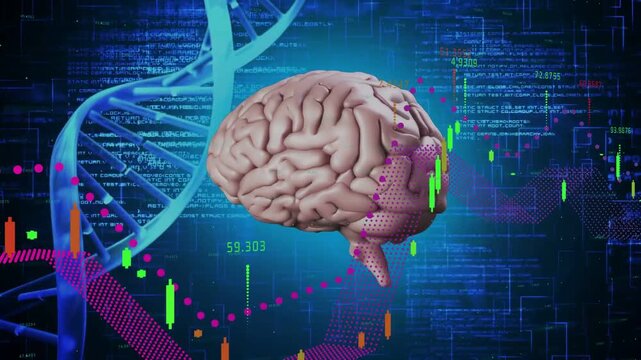 Magenta guide line animating midline brain model rotating, cyan mesh mapping DNA-linked neural data