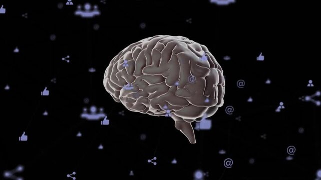 Vertical video: Animation playing, brain rotating in tech void, icons pulsing, visualizing network