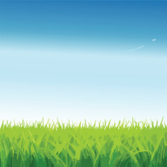 Fototapeta premium Vibrant green grass under a clear blue sky illustration for nature backgrounds