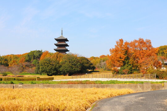 岡山県総社市　備中国分寺　五重塔