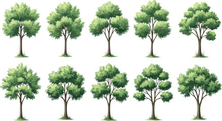 Fototapeta premium Collection of lush green deciduous trees in flat vector style isolated botanical elements for landscape design game assets environment illustration forest set bundle