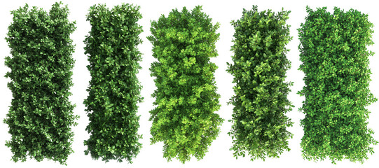 Top view of a hedge row Set isolated or on white background 3d render png. Architecture plan  © Dennis Hoeren
