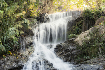 Fototapeta premium Beautiful serene waterfall flowing over dark rock in lush green forest landscape creating peaceful nature scene with clear water stream cascading through tropical foliage natural environment