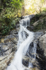 Fototapeta premium Beautiful natural waterfall cascading down rocky cliff in lush green forest creating serene peaceful and calming atmosphere perfect for relaxation
