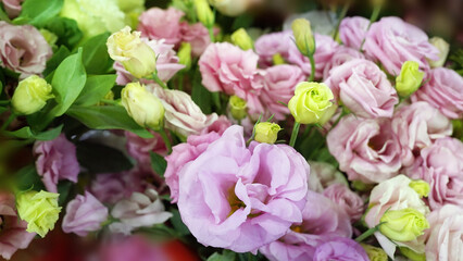 Fototapeta premium Close-up of Beautiful Lisianthus Flower Bouquet in Soft Light