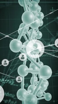 Vertical video: Rotating clear helix on teal grid, donut highlight appearing, mapping avatar icons