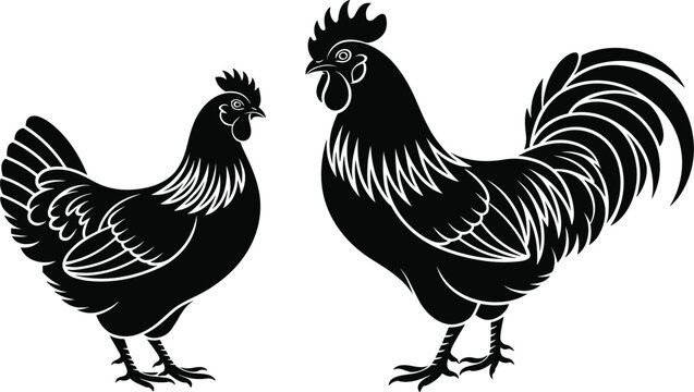 Rooster and hen silhouette vector illustration featuring detailed farm chicken pair, black poultry birds isolated design for agriculture logo, rural farming, livestock branding graphics