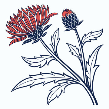 safflower vector