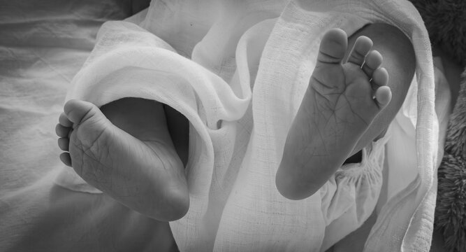 x ray image of human head