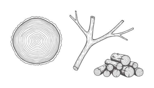 Tree ring cross section branch and stacked logs line wood
