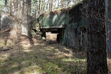 Naklejka premium Stary betonowy obiekt militarny ukryty w lesie,
