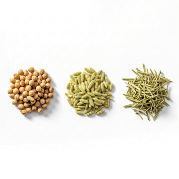 Three Spice Piles: Coriander, Fennel, and Rosemary on White Background