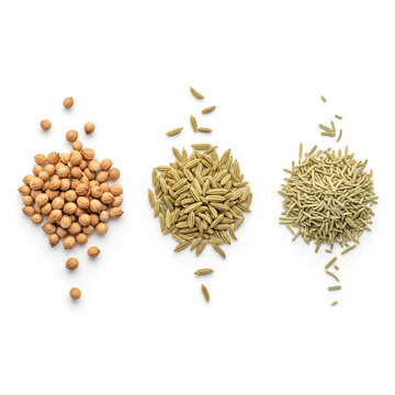 Three Piles of Spices and Legumes: Chickpeas, Fennel Seeds, and Rosemary