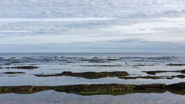 Small waves breaking over the exposed Devonian Sandstone during a retreating tide at East Haven Beach on the East Coast of Scotland.