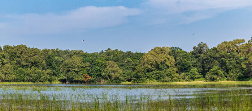 Panorama del villu, un lago nel parco nationale Willpattu in Sri Lanka