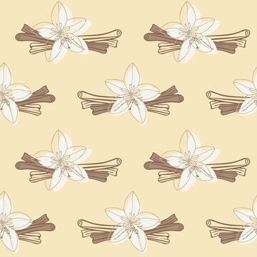 Seamless pattern with vanilla flowers and cinnamon sticks in hand-drawn line art style on warm beige background