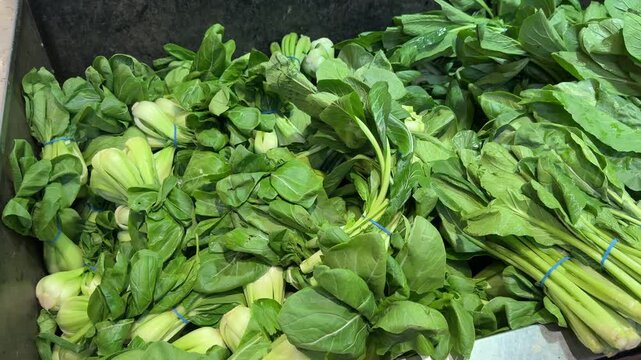 Fresh bok choy bundles at market produce display