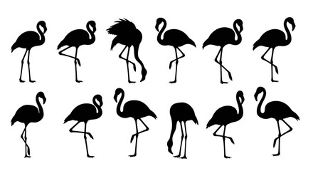 A collection of twelve black silhouettes featuring various poses of the elegant flamingo bird © Mamun
