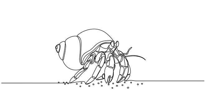 Elegant Hermit Crab Scuttling on Golden Sands by the Tranquil Seaside Under the Warm Sun, Captured in a Minimalist Continuous Line Drawing Style