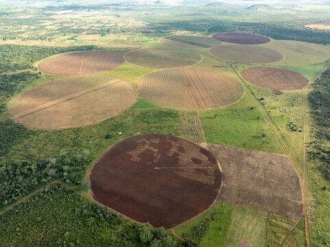 Aerial view of circular fields stitched into the landscape, a vibrant patchwork of greens and browns, contrasting textures and tones, Zambia, Zambia.