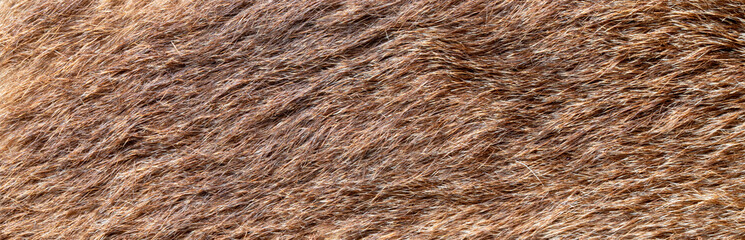 brown fluffy sherpa fleece fabric texture background with soft wool material for winter clothing blankets or textile cozy mockup © agrus