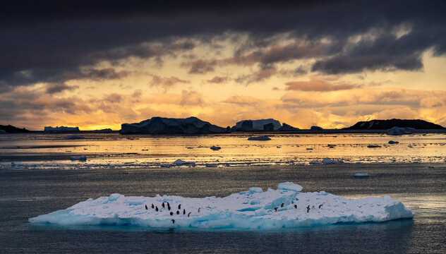 Zodiac Cruise aorund Cierva Cove with lots of penguins and seals, Antartica