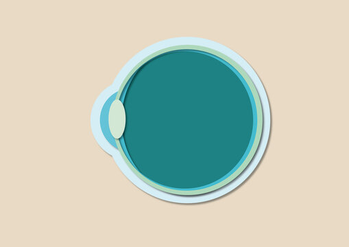 Human eye cross-section, illustration