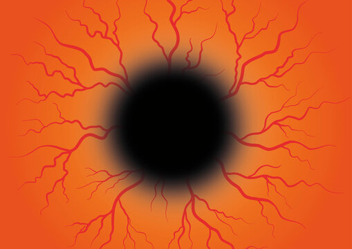 Eye blood vessels, illustration