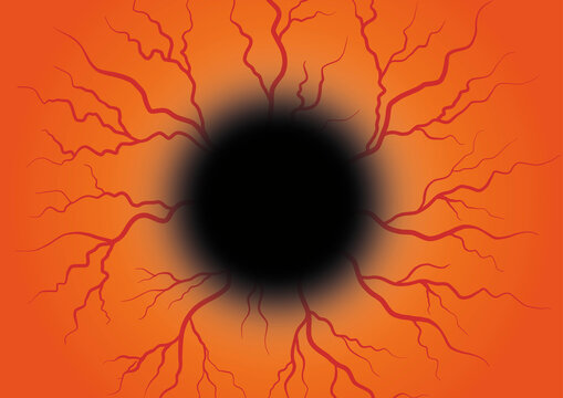 Eye blood vessels, illustration