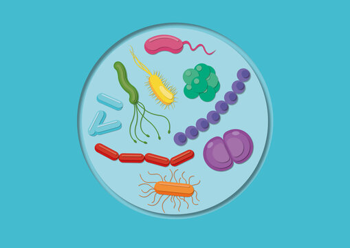 Bacteria in a petri dish, conceptual illustration