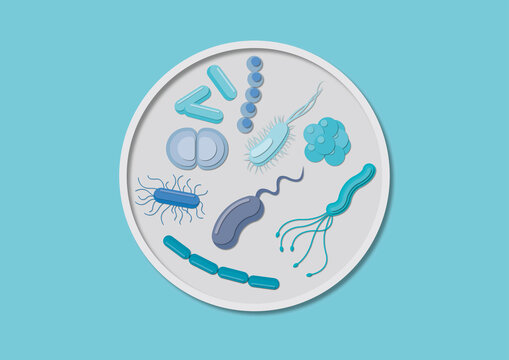 Bacteria in a petri dish, conceptual illustration