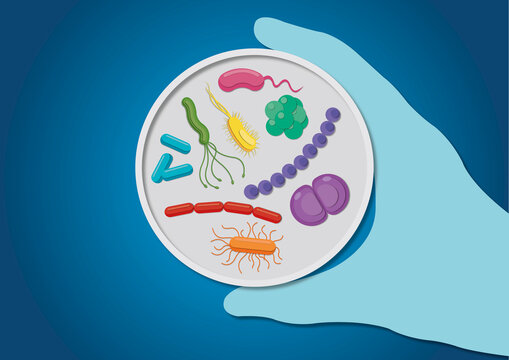Bacteria in a petri dish, conceptual illustration