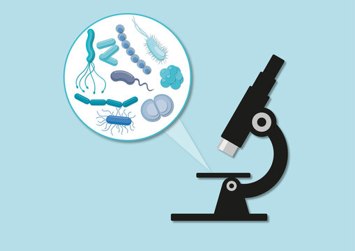 Bacteria under a microscope, conceptual illustration