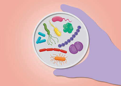 Bacteria in a petri dish, conceptual illustration