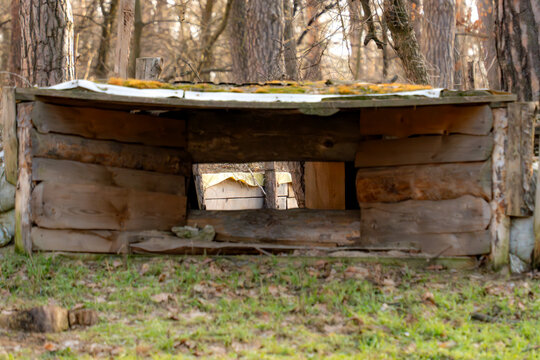 View of a rustic wooden bunker with a rectangular opening sits amidst the trees, blending with the natural landscape, Kyiv, Kyiv City, Ukraine.