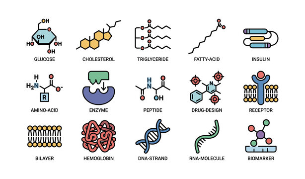 Chemical structures and biological molecules: glucose, cholesterol, and more