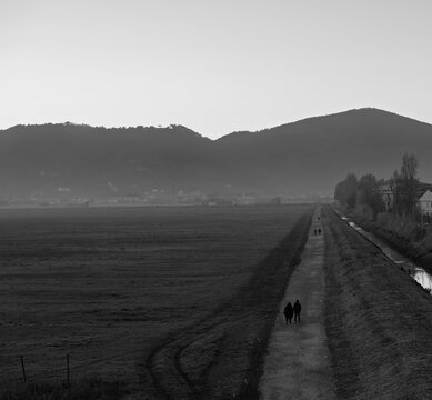Panoramic view of the meadow in luni near sarzana
