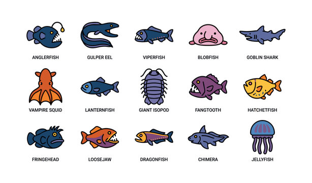 Deep sea creatures illustration: anglerfish, viperfish, goblin shark, loosejaw, jellyfish