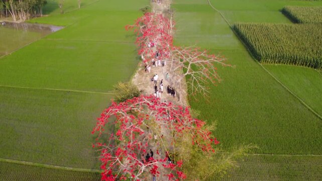 Heart of the Village: Community Eid Meeting under a Silk Cotton Garden