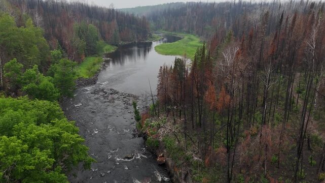 Drone flying low above Bird River Manitoba following rapids through a recently burned boreal forest with green patches, steep granite rock, and Canadian Shield terrain.