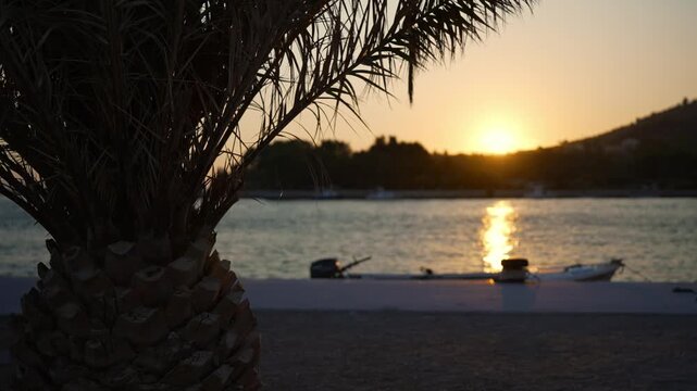 Silhouette of a palm tree against a vibrant sunset sky.
