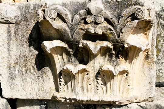 Background. Close-up. Detail of an ancient column. Upper section of a carved Corinthian column from Volubilis. Meknes, Morocco