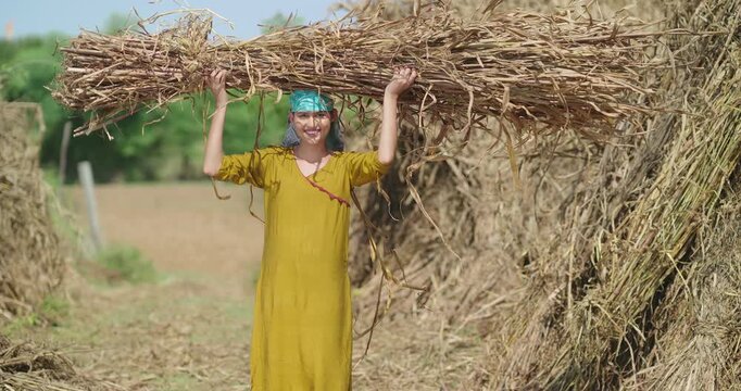 Indian young adult woman lady carrying dry grass straw on head look camera standing ground rural area. happy teen girl do farm field hard work hold wheat bunch bundle crop staring cam enjoy day place
