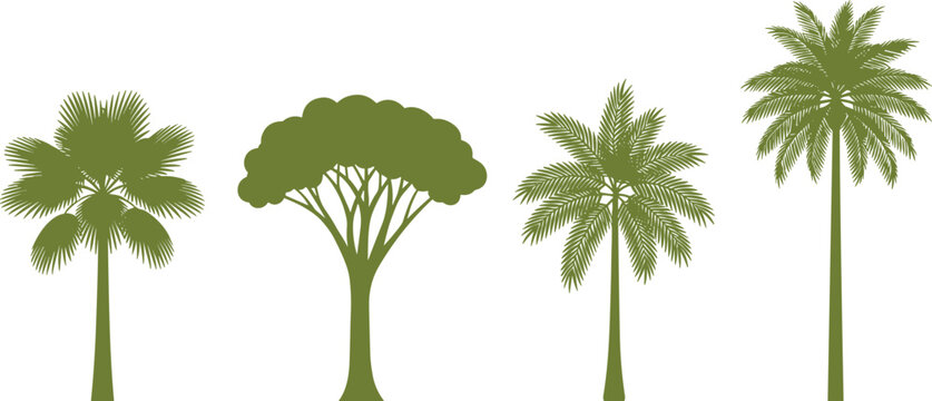 Collection of green tropical tree silhouettes including palm varieties and broadleaf tree isolated vector illustration for landscape and botanical design use