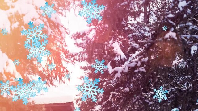 Animation of snowflakes falling over fir trees and winter landscape