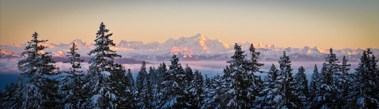 Panoramic aerial view of snow-laden pines frame the majestic, sun-kissed peaks of Mont Blanc, glowing amidst a sea of ethereal clouds, Chamonix, Auvergne-Rhone-Alpes, France.