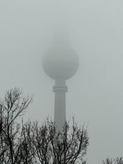 Berlin, Germany, Fernsehturm, Berlin TV Tower, TV tower, landmark, fog, mist, foggy, dense fog, minimalism, moody, atmosphere, atmospheric, winter, trees, bare trees, silhouette, urban, city, skyline, © Viacheslav